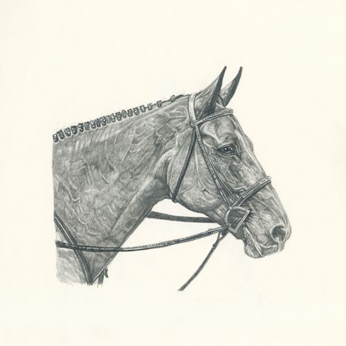 War Horse Limited Edition by Steve R. Skipper